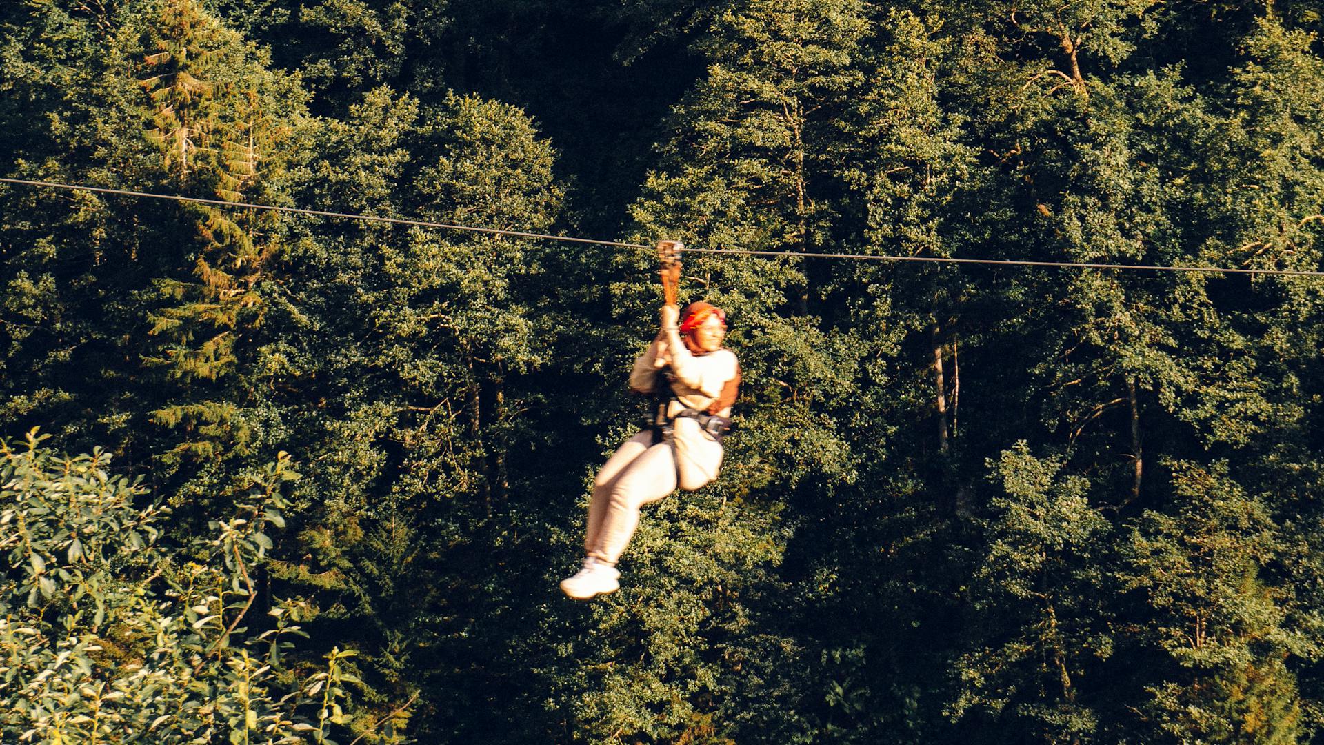 Tops of Trees